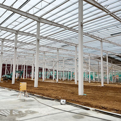 Edificio industriale ignifugo risparmio di costi costruzione con magazzino multifunzione e struttura in acciaio